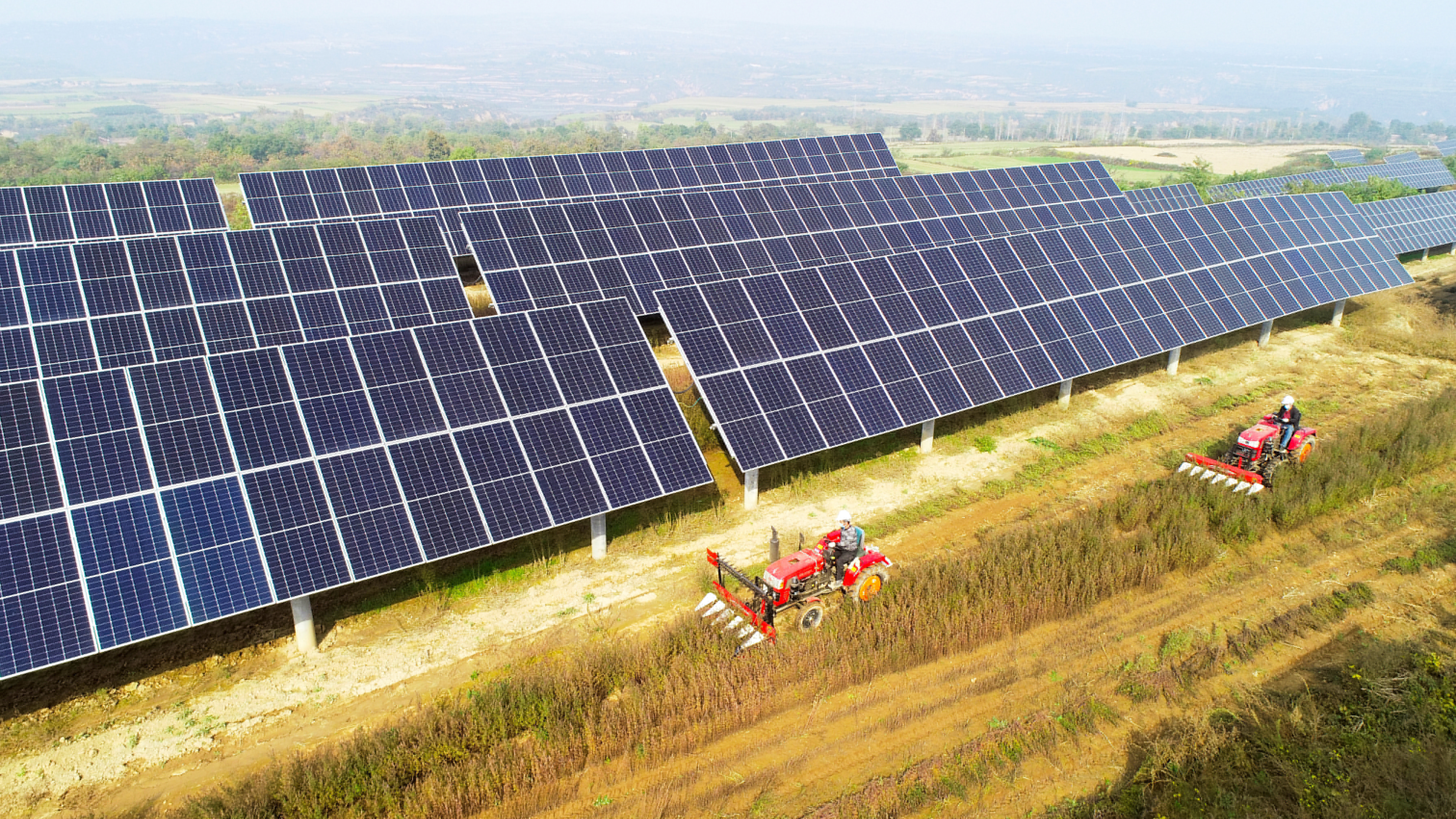 圖3.大唐西安熱電廠永壽高廟山光伏電站進(jìn)行中草藥收割工作，實(shí)現(xiàn)惠農(nóng)共贏.jpg